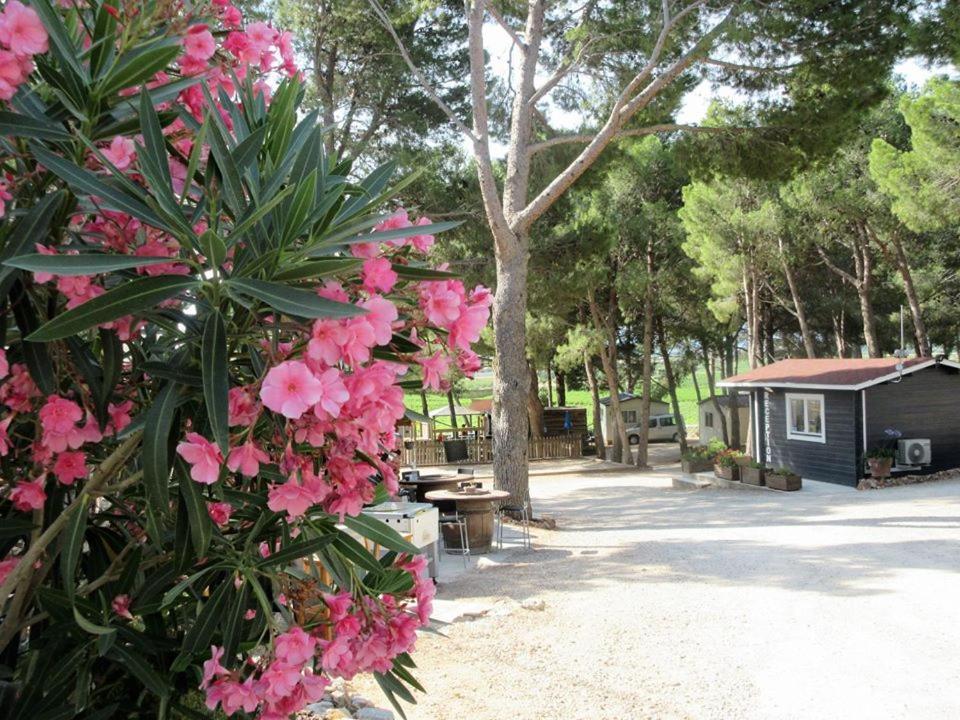 Camping Le Bois De Pins Salses-le-Château Eksteriør billede